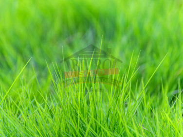 Działka budowlana Krasiejów