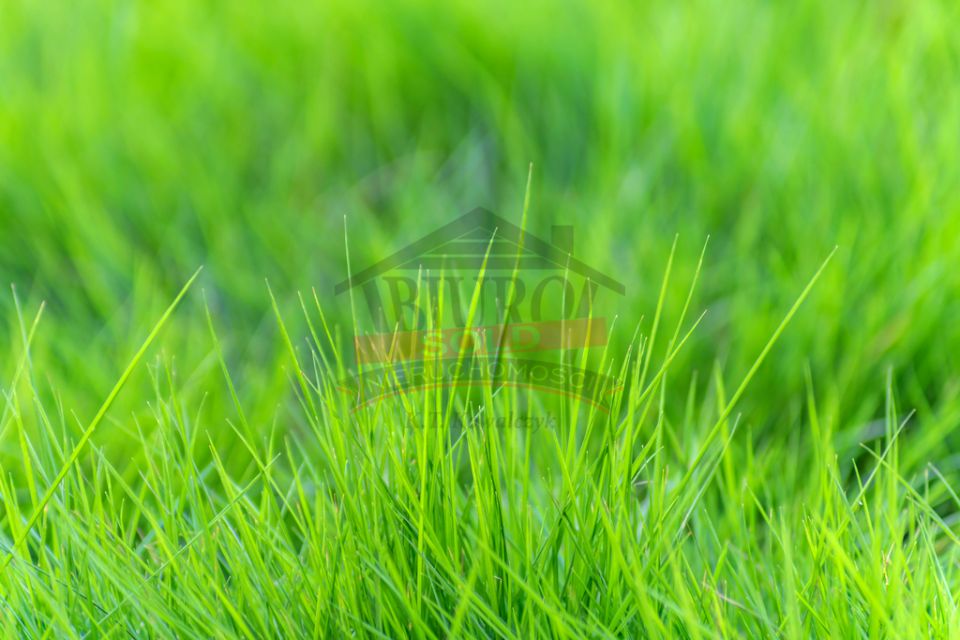 Działka budowlana Krasiejów