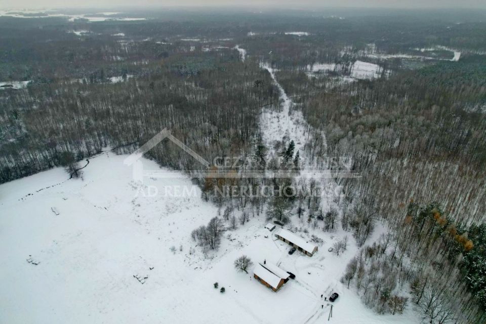 Zdjęcie 3