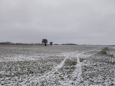 Działka rolna Jerzykowo