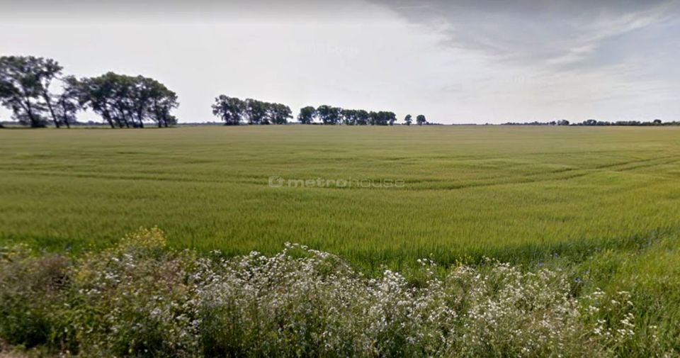 Działka przy lesie