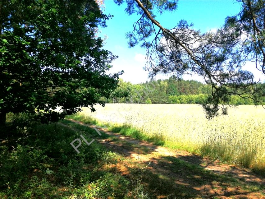 Działka budowlana Kąty-Miąski