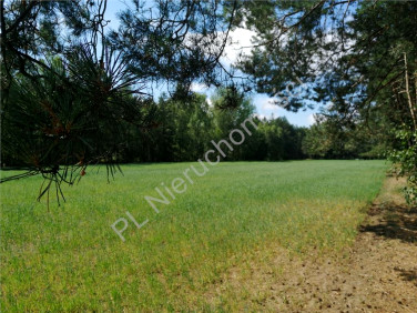Działka Kąty-Miąski