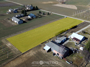 Działka budowlana Panieńszczyzna