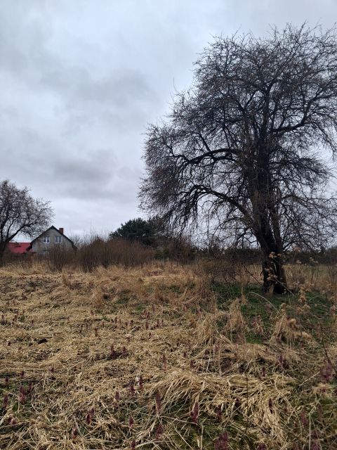 Działka budowlana Zaleskie