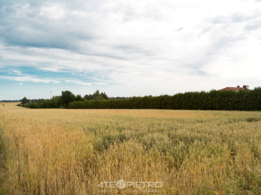 Działka budowlano-rolna Jakubowice Konińskie-Kolonia