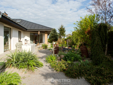 Dom Nowiny sprzedaż