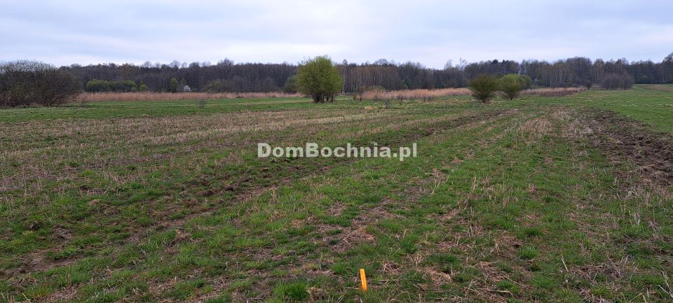 Działka Jodłówka