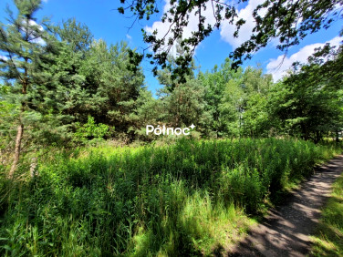 Działka budowlana Kuźniczysko sprzedam