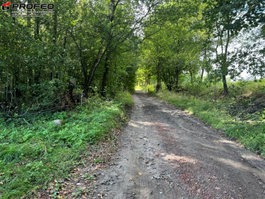 Działka leśna Zwonowice