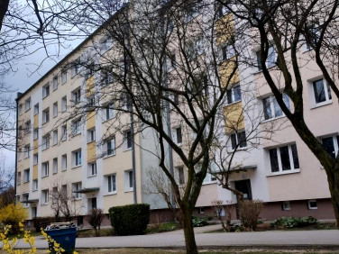 Mieszkanie Poznań sprzedaż