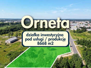 Działka Orneta
