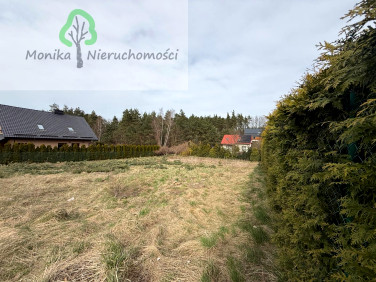 Działka Rokitki