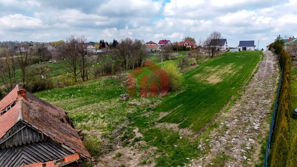 Zdjęcie 3