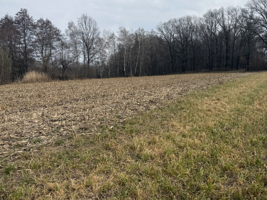 Działka siedliskowa Gębczyce