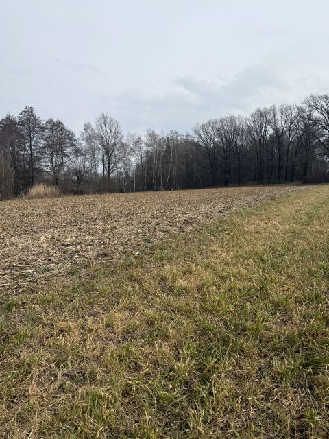 Działka siedliskowa Gębczyce