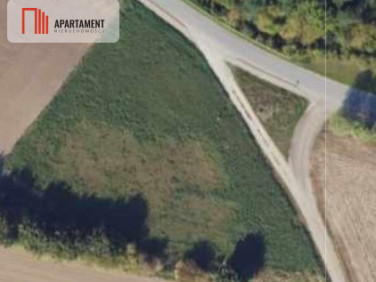 Działka inna Brzyskorzystew sprzedam