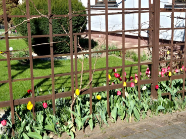 Dom wolnostojący sprzedaż