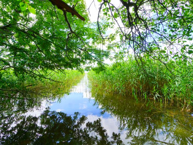 Działka inna Czaplinek