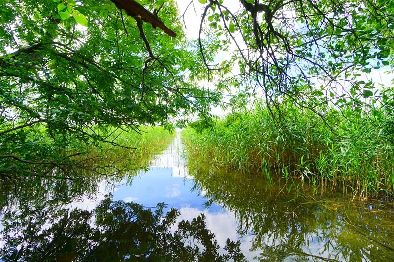 Działka inna Czaplinek