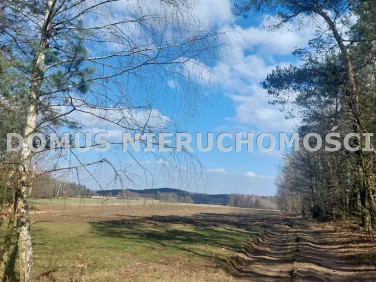 Działka usługowa Grzmiąca