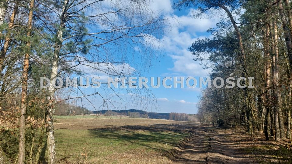 Działka usługowa Grzmiąca