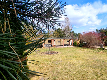 Działka rekreacyjna Matyldów