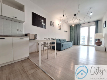 Mieszkanie SZCZECIN wynajem