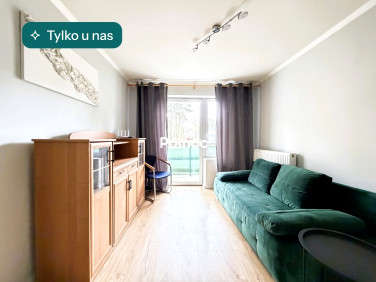 Mieszkanie Szczytnica