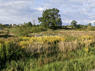 Działka budowlana Częstochowa
