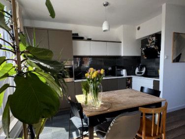 Mieszkanie Kamieniec Wrocławski