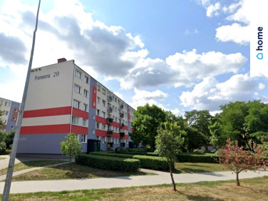 Mieszkanie Włocławek