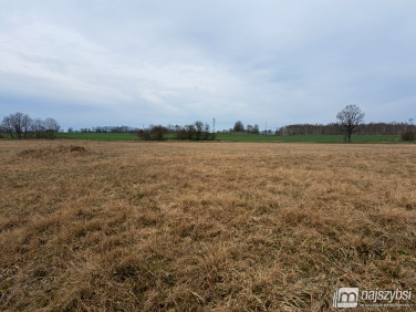 Działka rolna Nowe Bielice