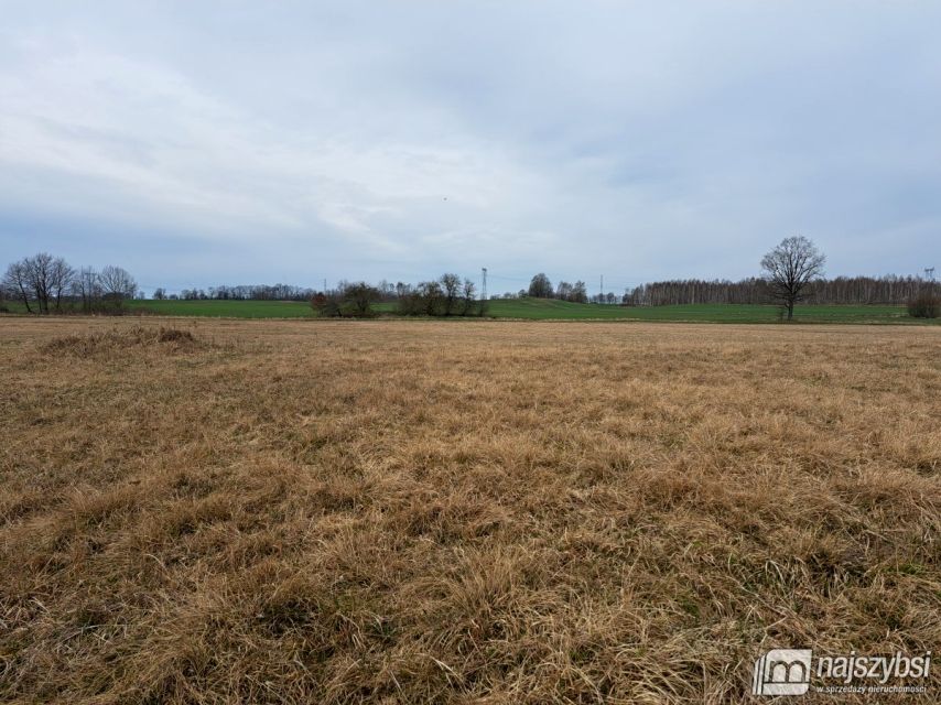 Działka rolna Nowe Bielice