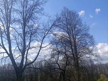 Działka budowlano-rolna Bobrówka