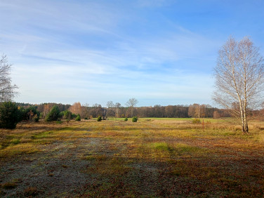 Działka budowlana Ldzań