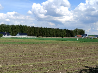 Działka budowlana Siedlec