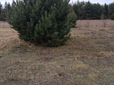 Działka budowlana Baranówko