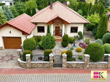 Dom Zielona Góra sprzedaż