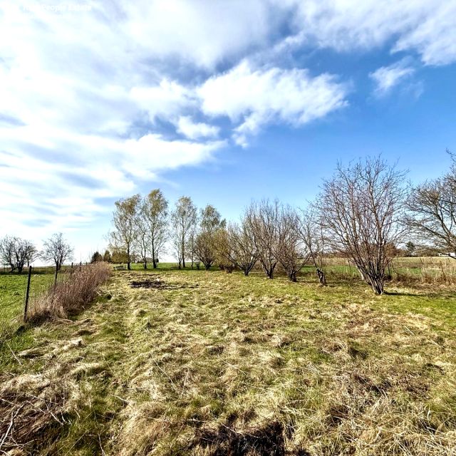 Działka Abramowice Prywatne