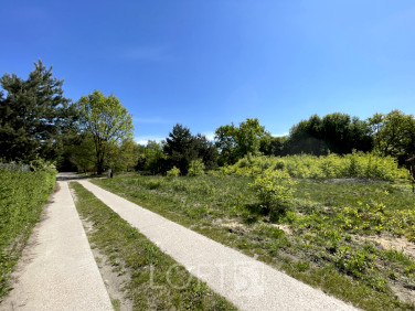 Działka inna Owczarnia