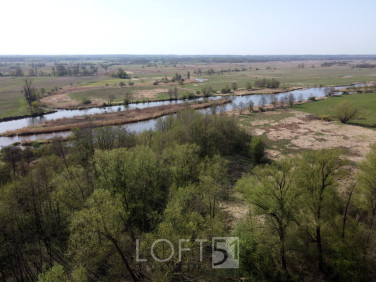 Działka usługowa Pacew