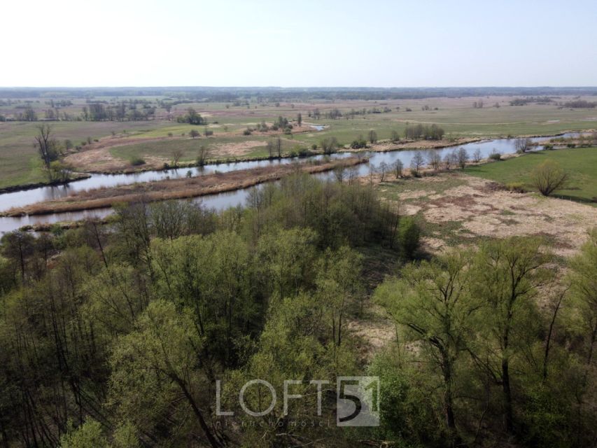 Działka usługowa Pacew