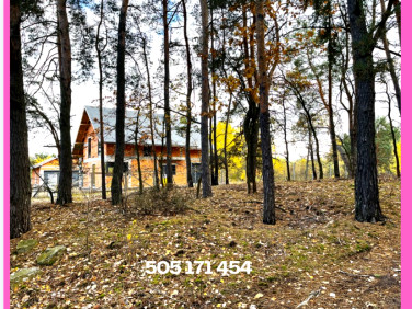 Działka leśna Cięciwa