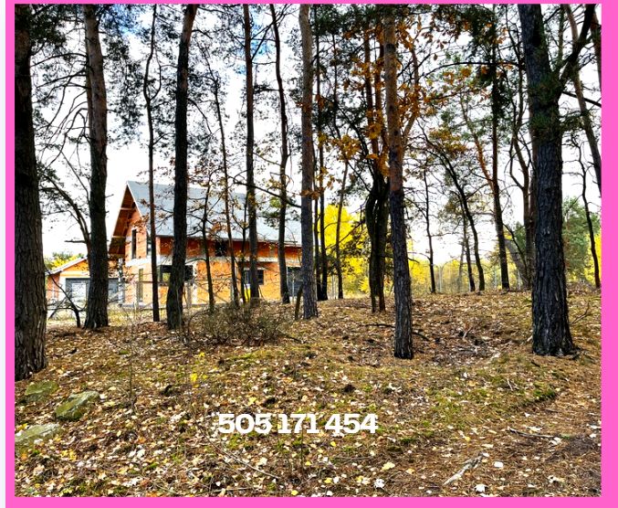 Działka leśna Cięciwa