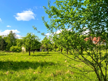 Działka Świętochów