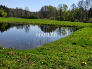 Działka rekreacyjna Golub-Dobrzyń