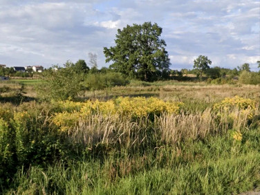 Działka Częstochowa