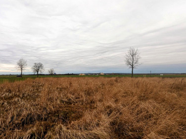 Działka usługowa Kunice