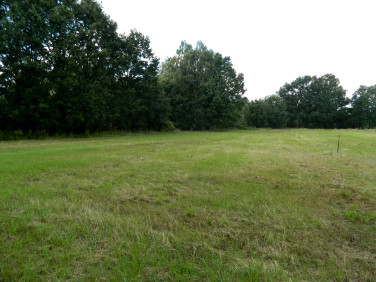 Działka Częstochowa